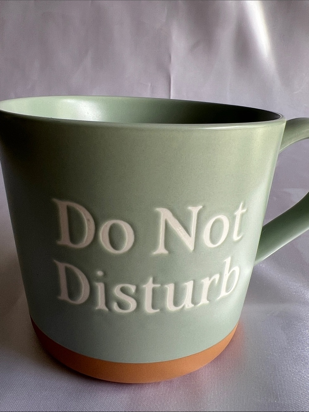 Threshold Sage Green 'Do Not Disturb' Ceramic Mug with Tan Accent